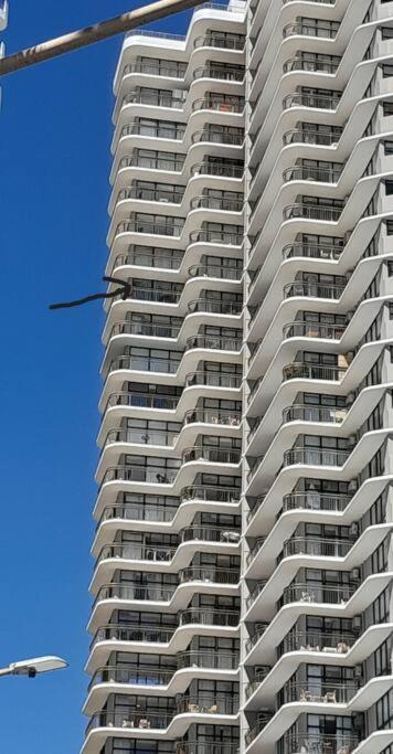Surfers Paradise Absolute Beachfront With Views, High Level 1br - Ideal For Couples Or 2 Ppl Travelling Together Apartment Gold Coast